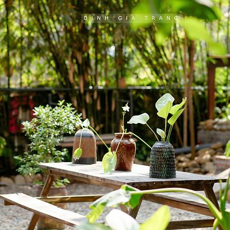 Dinh Gia Trang - Homestay & Coffee The Ruong Exterior photo
