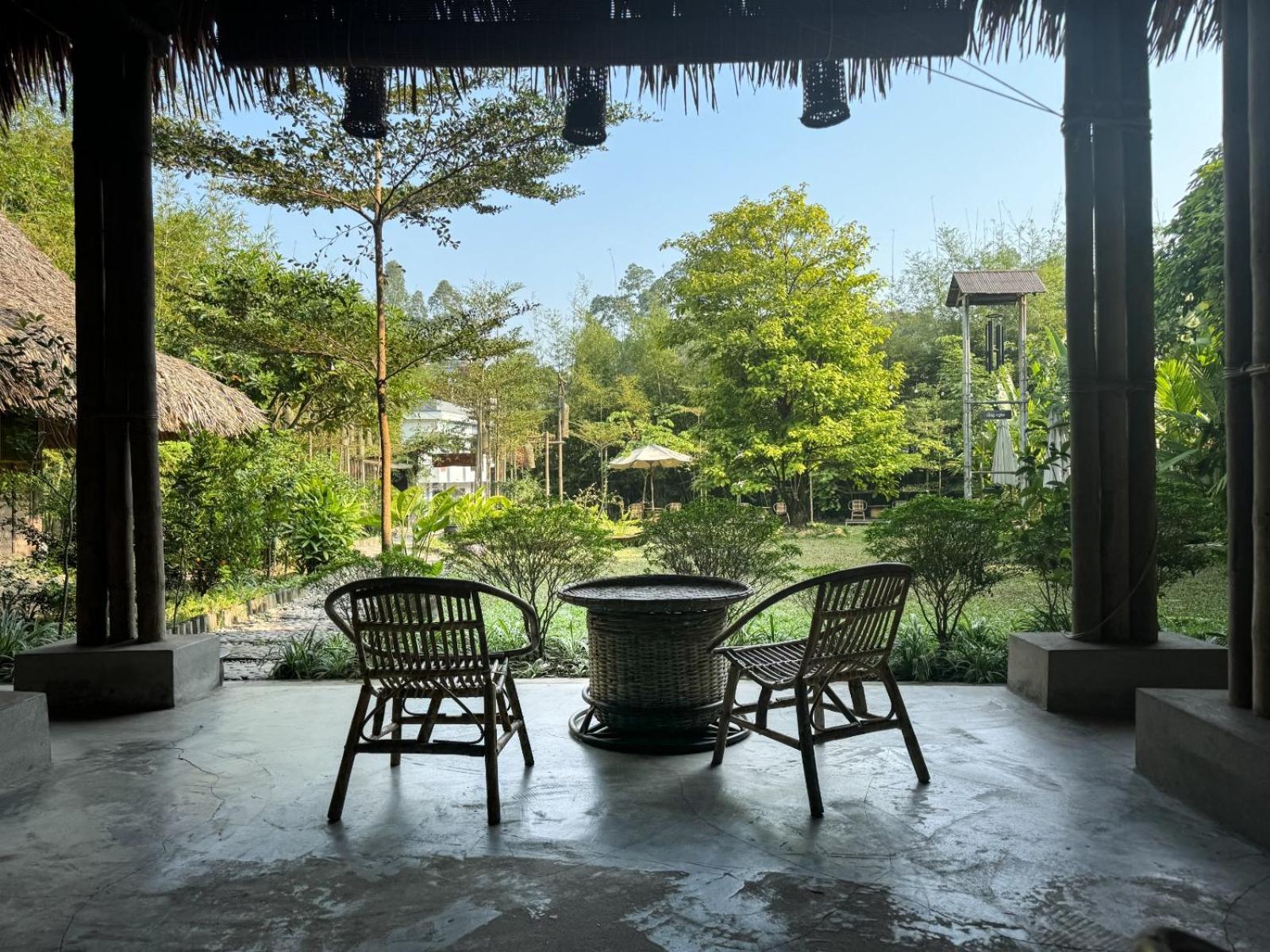 Dinh Gia Trang - Homestay & Coffee The Ruong Exterior photo